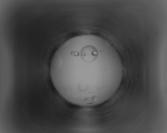 X0000100910418200806241055