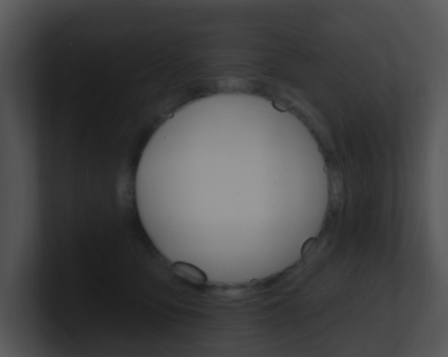 X0000100910419200806241055