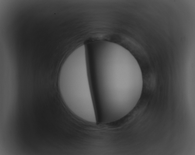 X0000100910420200806241055