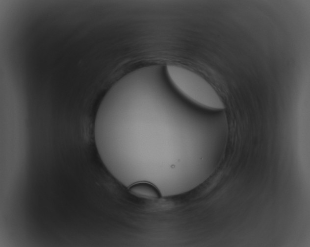 X0000100910421200806241055