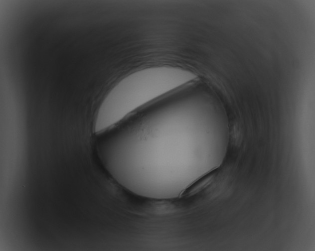 X0000100910424200806241055