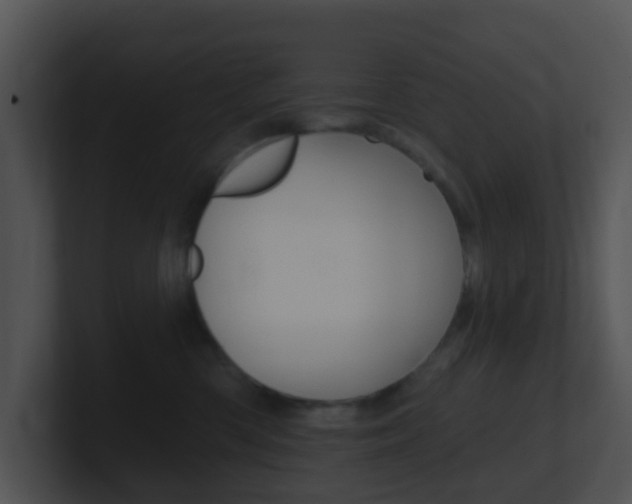X0000100910426200806241055