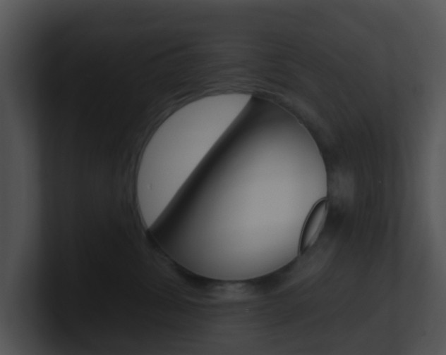 X0000100910428200806241055