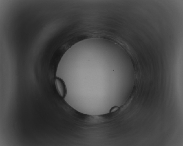 X0000100910429200806241055