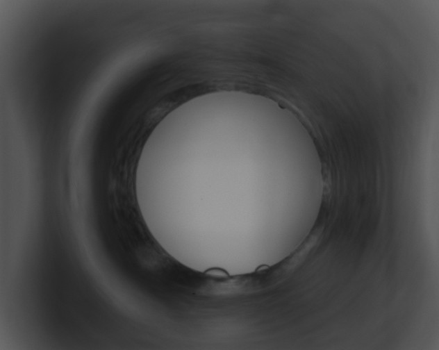 X0000100910430200806241055