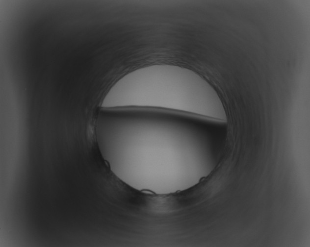 X0000100910432200806241055
