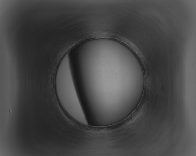 X0000100910433200806241054