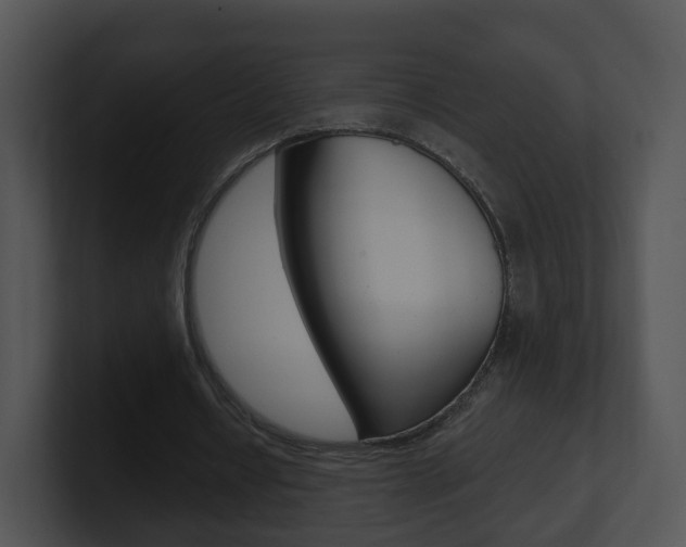 X0000100910434200806241054