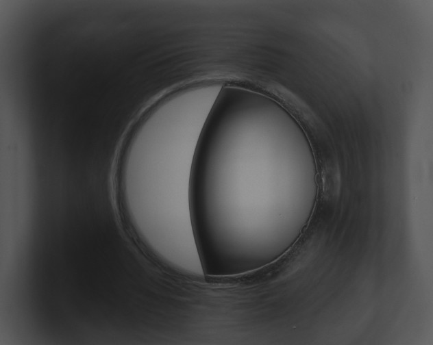 X0000100910436200806241054