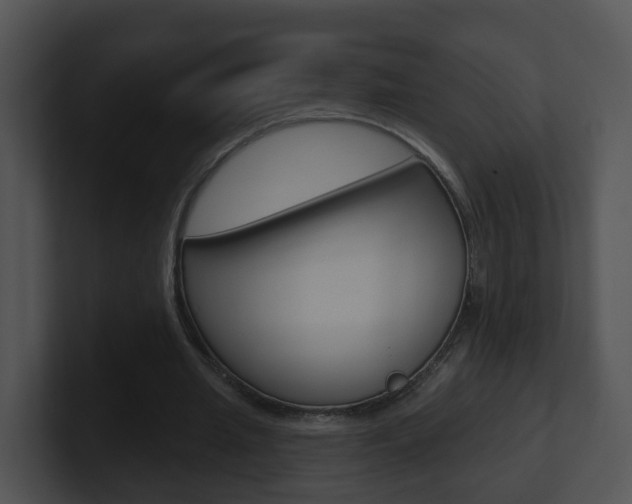 X0000100910437200806241054