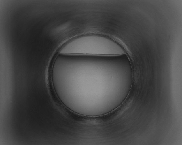 X0000100910439200806241054