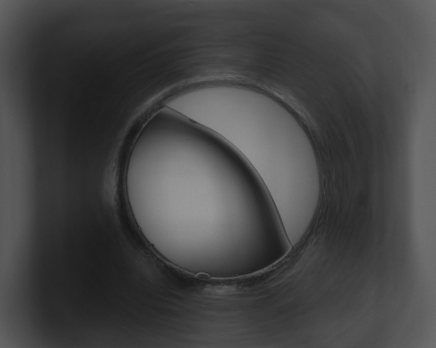 X0000100910440200806241054