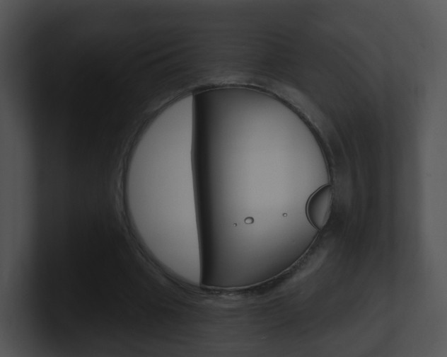 X0000100910441200806241054