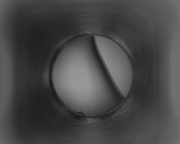X0000100910442200806241054