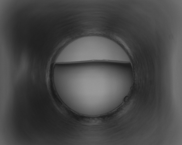 X0000100910443200806241054