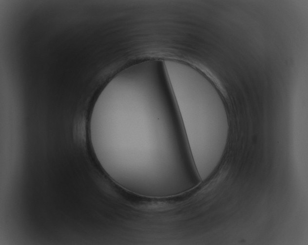 X0000100910445200806241054