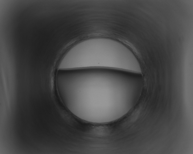 X0000100910446200806241054