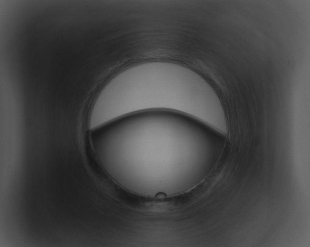 X0000100910448200806241054
