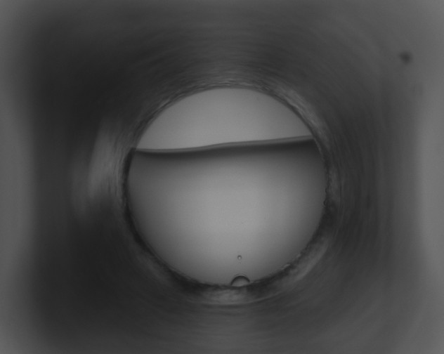 X0000100910449200806241054