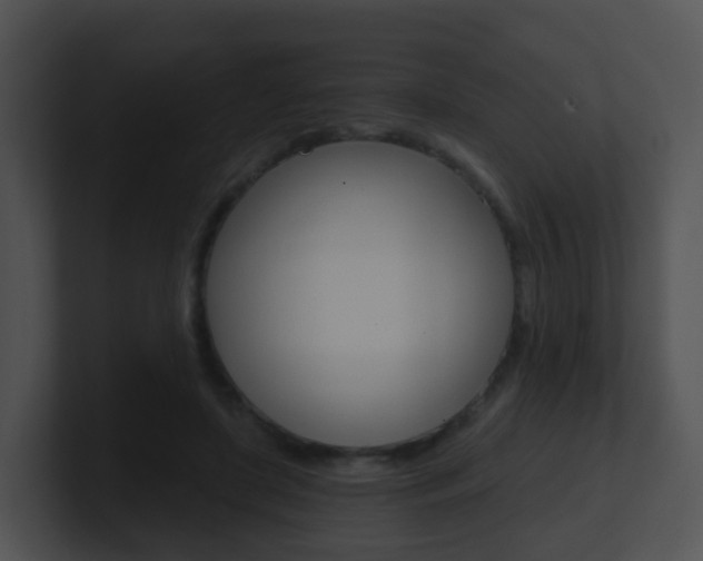 X0000100910451200806241054