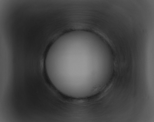X0000100910454200806241054