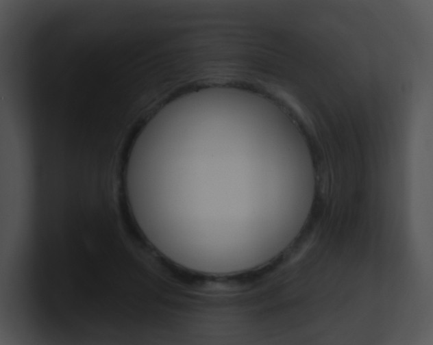 X0000100910455200806241054