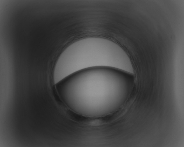 X0000100910456200806241054