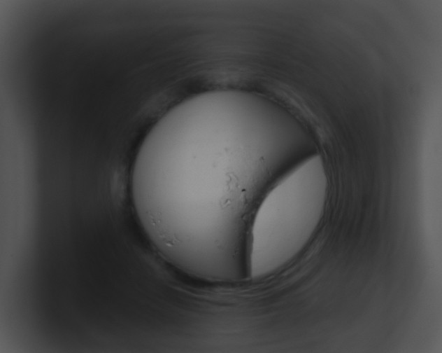 X0000100910458200806241054