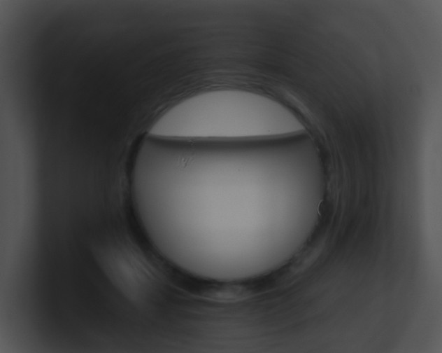 X0000100910459200806241054