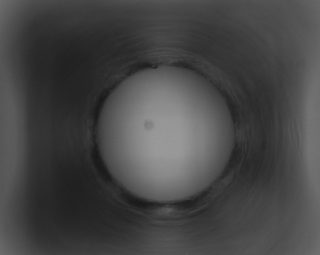 X0000100910460200806241054