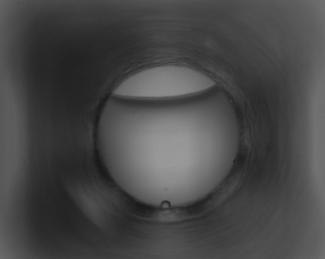X0000100910461200806241054
