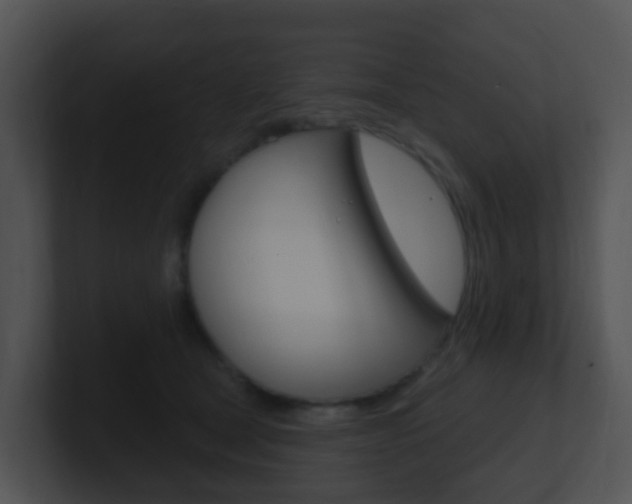X0000100910465200806241054