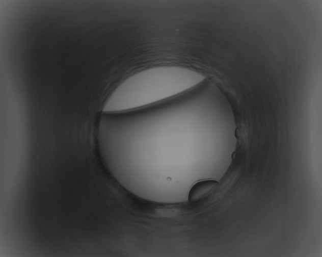 X0000100910470200806241054