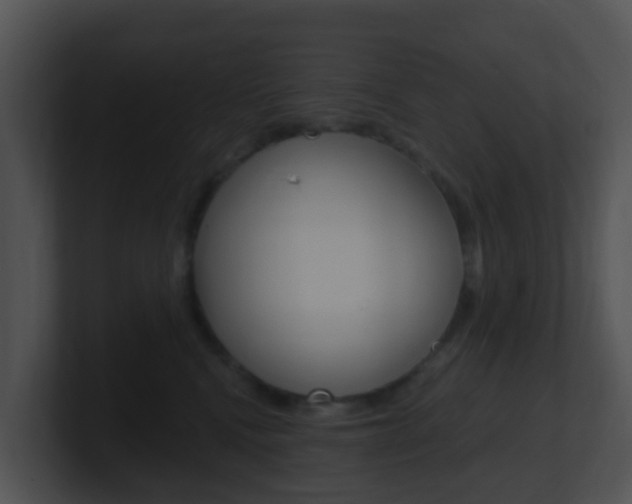 X0000100910472200806241054