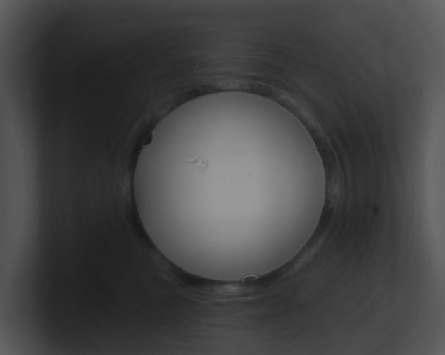 X0000100910473200806241054