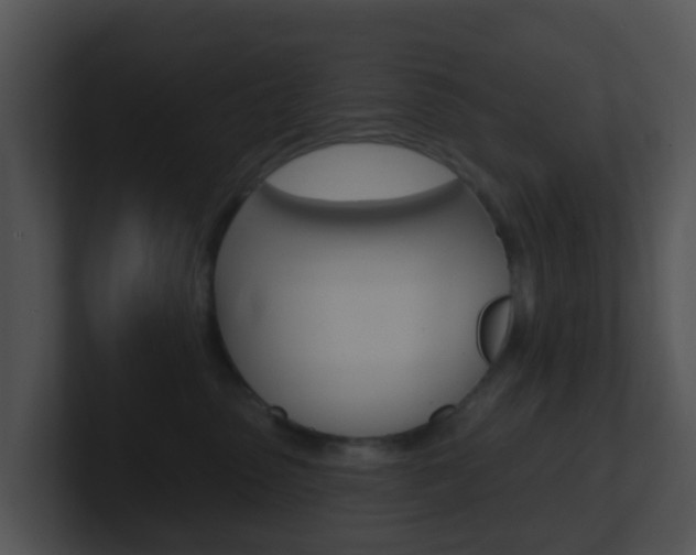 X0000100910475200806241055
