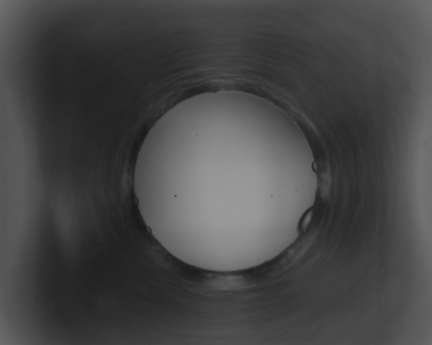 X0000100910476200806241055