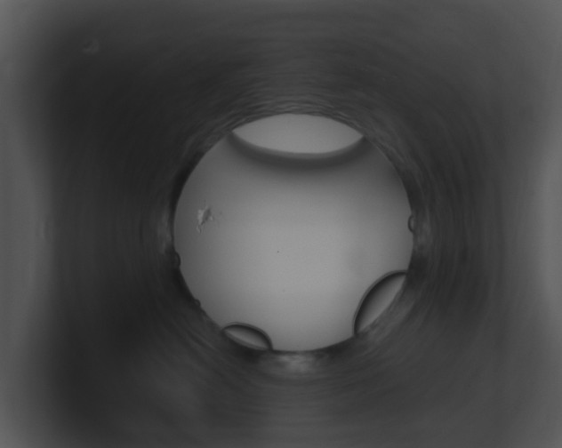 X0000100910478200806241055