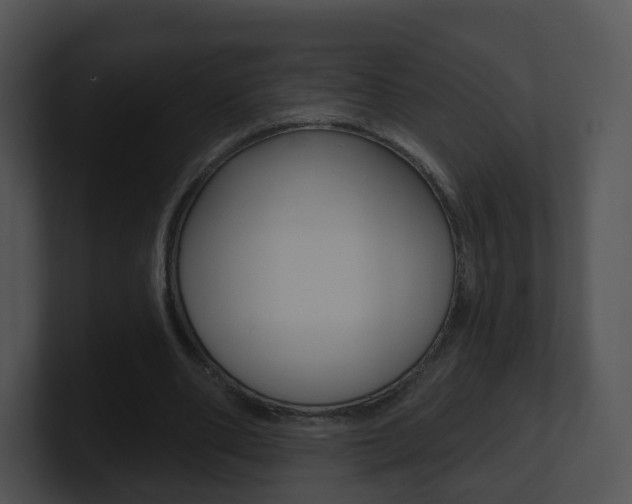 X0000100910486200806241054