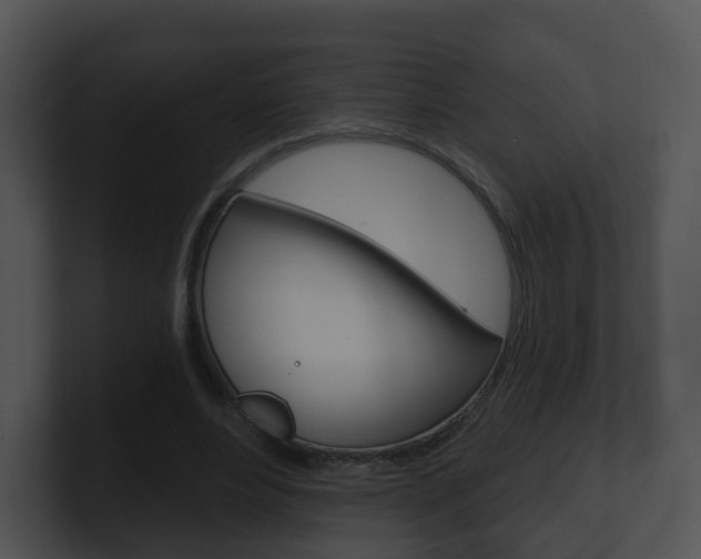 X0000100910488200806241054