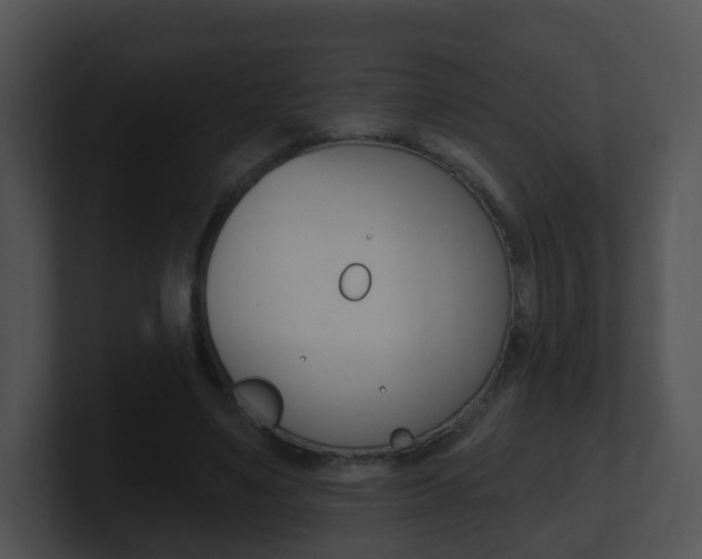 X0000100910491200806241054
