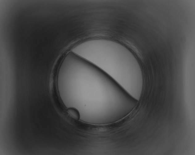 X0000100910492200806241054