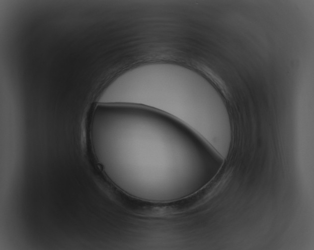 X0000100910493200806241054