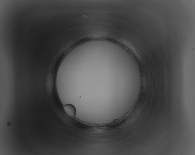 X0000100910495200806241054