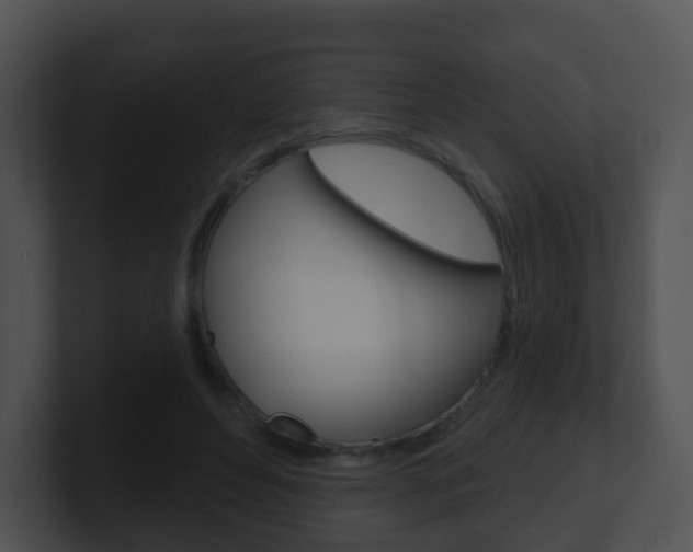 X0000100910496200806241054