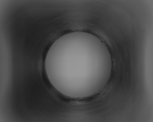 X0000100910498200806241054