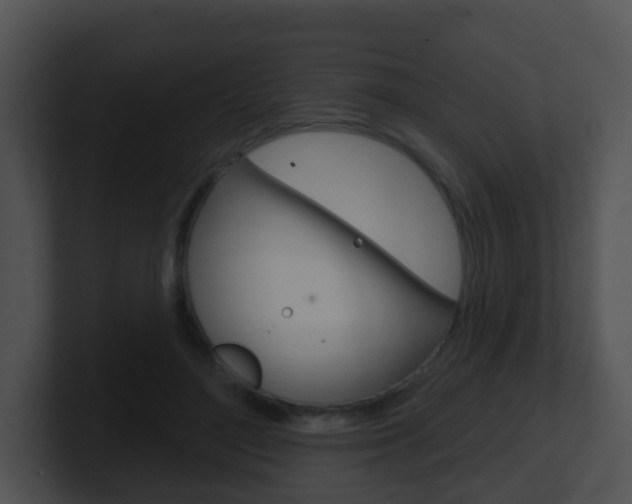X0000100910500200806241054