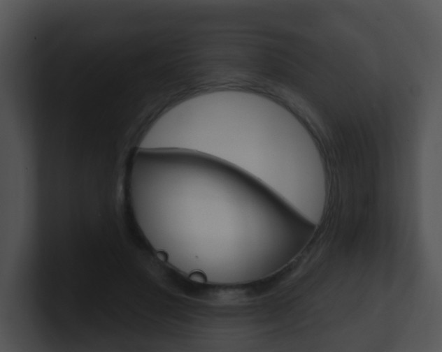 X0000100910501200806241054