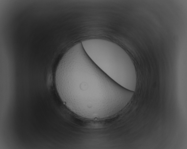X0000100910502200806241054