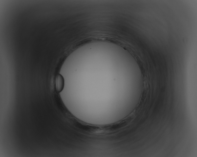 X0000100910504200806241054